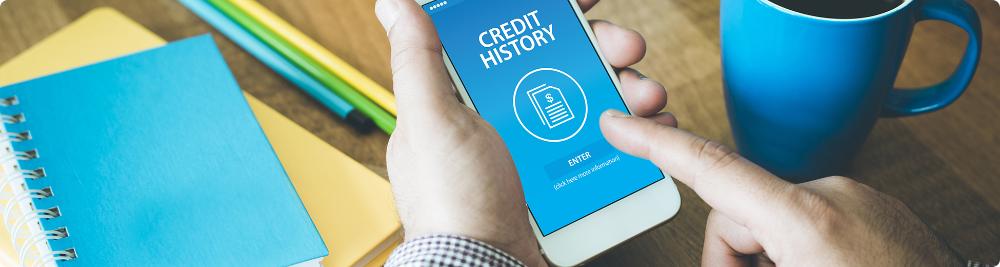 checking credit history on mobile phone